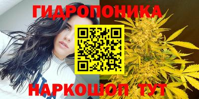 прущие грибы Чапаевск