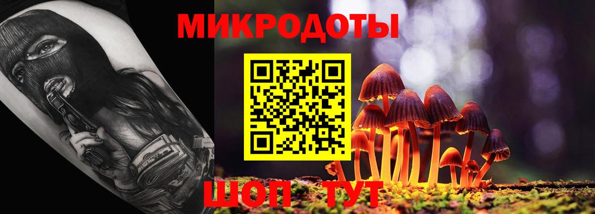 Псилоцибиновые грибы мицелий Белореченск
